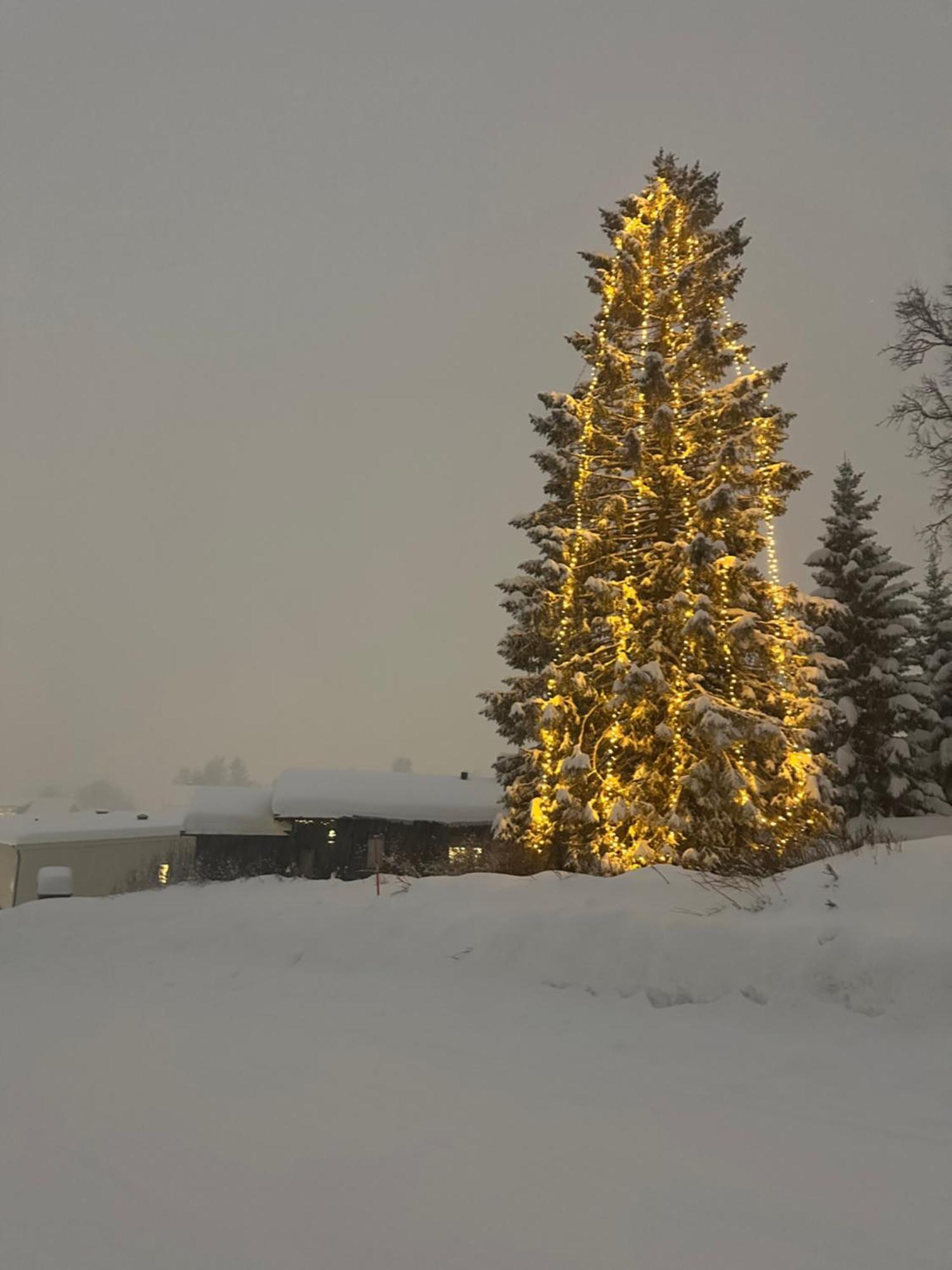 Koselig Byleilighet Sor I Sentrum Av Tromso. Екстериор снимка